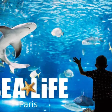 公寓 Le Simba 6min Train 5min Parking Paris 塞里斯